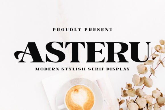 Asteru: A Serif Font That Elevates Web Design