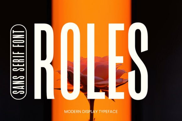 Roles Font Review: A Modern Sans Serif for Brand Designers