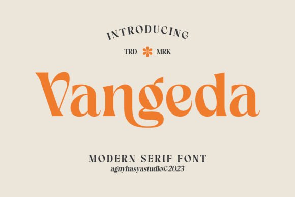 Vangeda: The Serif Font That Makes Campaigns Click